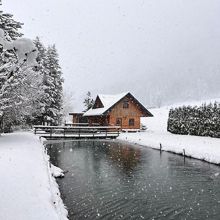 Villa Chalet am Teich Familie Gänser Feistritz am Kammersberg Exterior foto